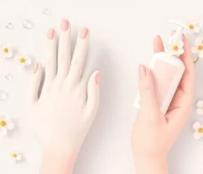 Paroníquia (unheiro) Paroníquia (unheiro)